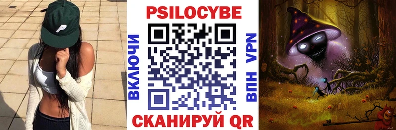 купить   Кулебаки  Псилоцибиновые грибы Cubensis 