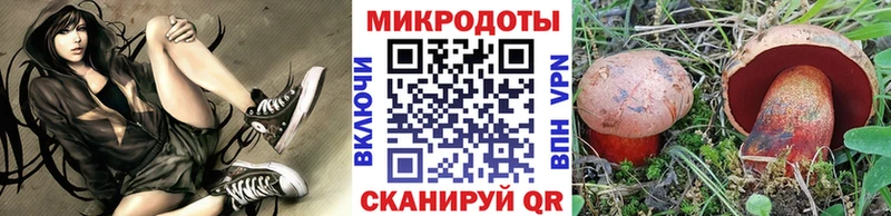 Псилоцибиновые грибы MAGIC MUSHROOMS Кулебаки