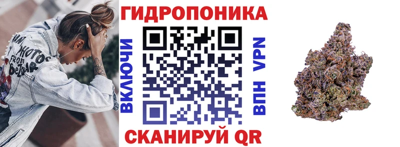 Шишки марихуана сатива  Кулебаки 